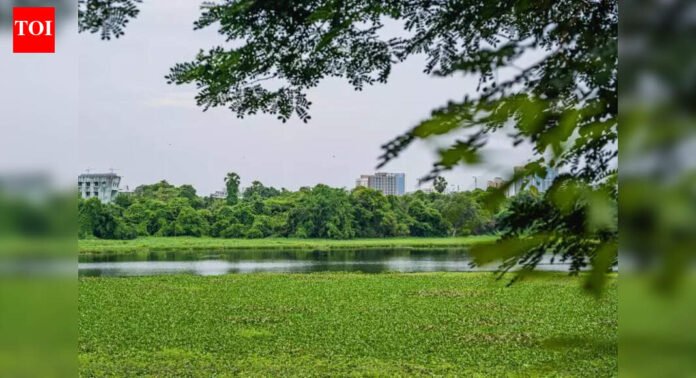 ‘Levy 5L/mth fine if untreated sewage flows into Powai lake’ | Mumbai News