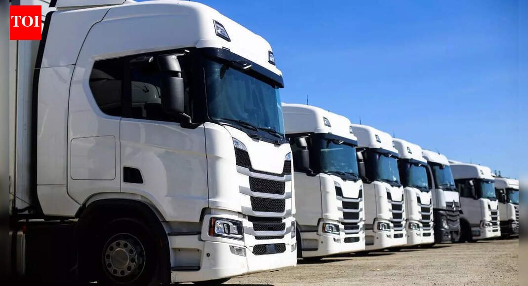 ‘We did nothing wrong’: Indian truck drivers challenge California over mass licence cancellations | World News