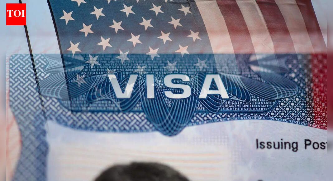100,000 US visas revoked: State Department launches record immigration crackdown | World News