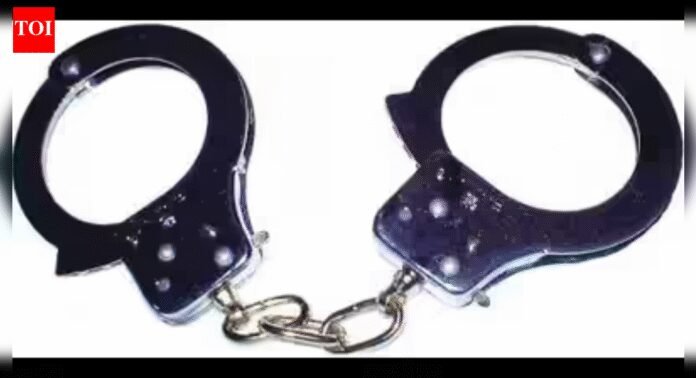 2 held for killing ex-law officer's wife in Punjab, cops say help planned it | India News