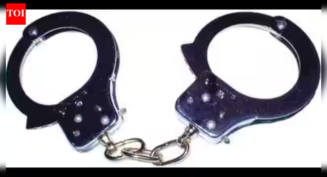 2 held for killing ex-law officer’s wife in Punjab, cops say help planned it | India News