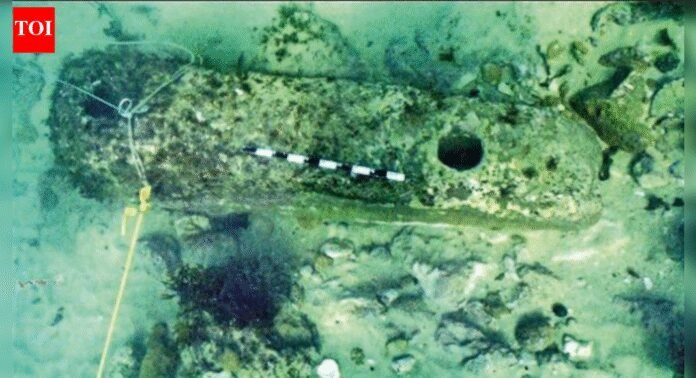 ASI preps for deeper digs to trace Krishna's ancient Dwarka | India News