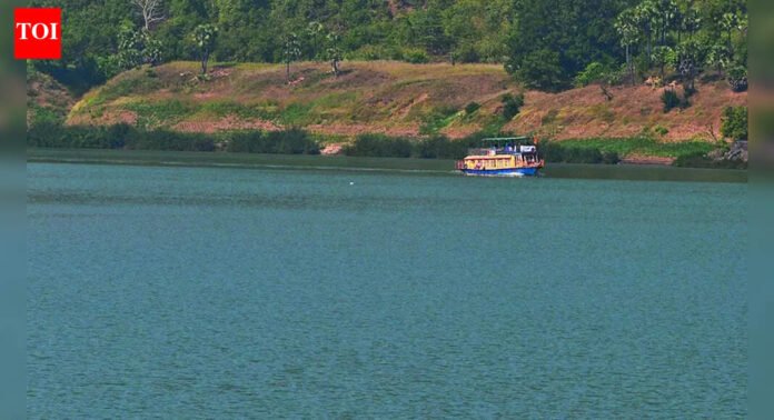 Andhra Pradesh attempting to steal Godavari water: Telangana | India News