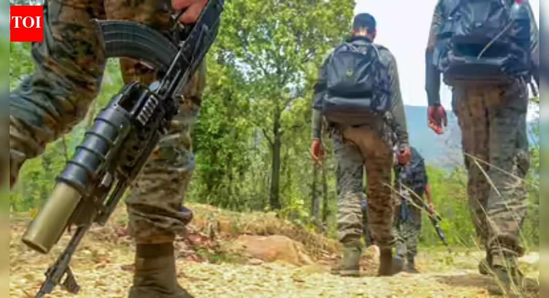 Anti-terror operation continues in Kathua, SOG trooper injured | India News