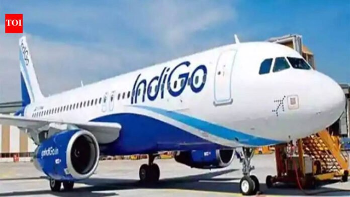 'Apply for IndiGo's vacated slots, but only if you can mount extra flights;' Government tells airlines