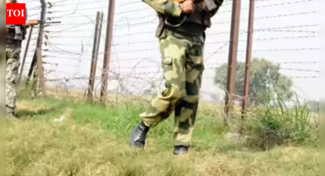 Army soldier dies during night patrol in Baramulla | India News