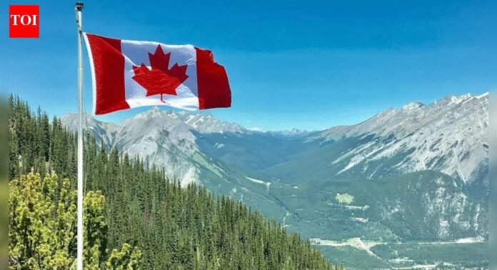 'Avoid all travel': Canada issues level-4 advisory, lists countries Canadians should not visit
