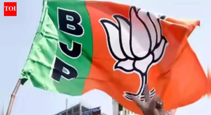 BJP appoints co-accused in Badlapur sexual abuse as Co-opted councillor | Thane News
