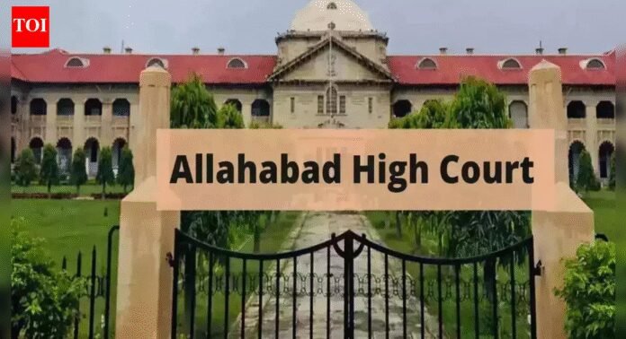Being on waitlist does not guarantee hiring, says Allahabad high court | India News