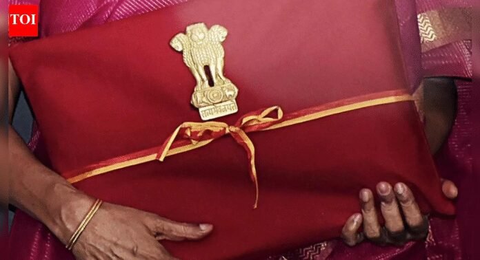 Budget 2026: FACSI urges tax & credit relief for MSEs; here's why