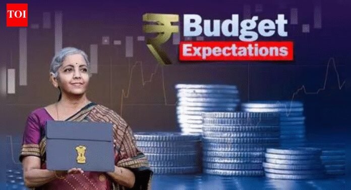 Budget 2026: State leaders meet FM Nirmala Sitharaman for pre-Budget talks; urge GST compensation, more capex support