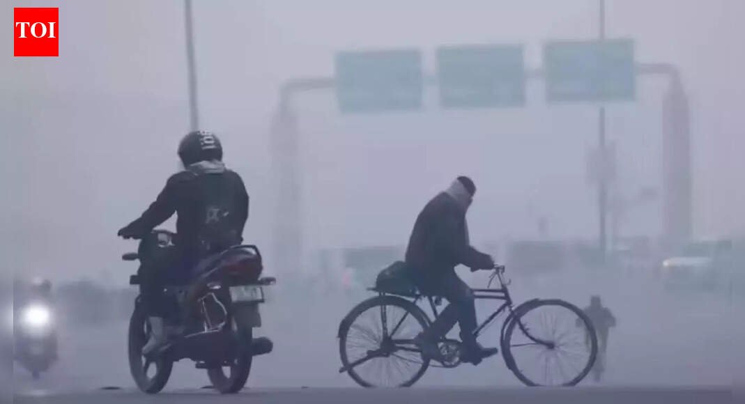 Cold wave grips Delhi: City’s coldest morning in 3 years as Safdarjung logs 3.2°C; chill to stay till Wednesday | Delhi News