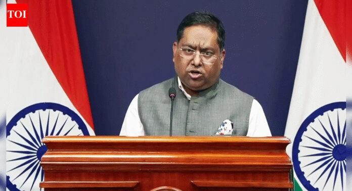 'Emboldens perpetrators': India on Bangladesh's denial of attacks on minorities; flags 'disturbing pattern' | India News