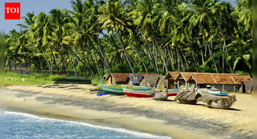 Goa saw 1 crore tourists in 2025, but foreign arrivals below pre-Covid levels | India News