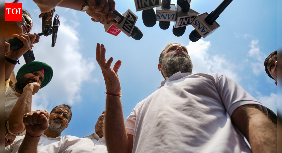 Indelible ink row: Rahul Gandhi accuses EC of ‘gaslighting’ voters - What does it mean? | India News