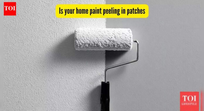 Is your home paint peeling in patches? Here's how to quick fix this problem |
