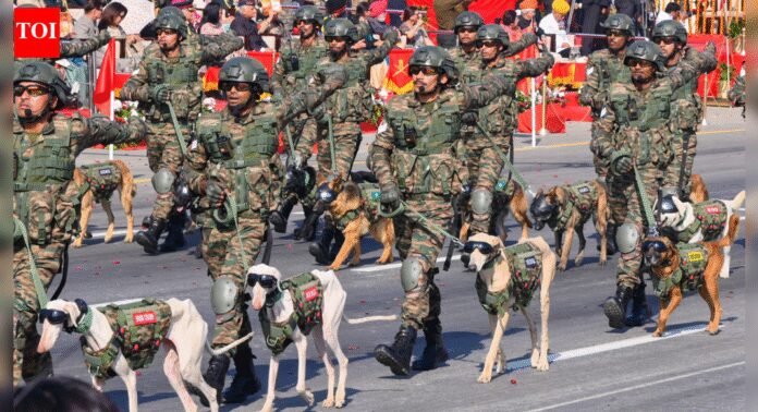 Israel envoy joins President, PM, Rajnath to hail Indian soldiers’ ‘indomitable courage and sacrifice’ | India News