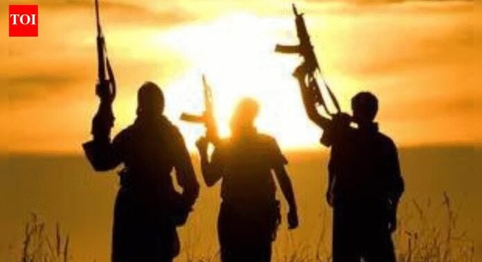 J&K LG sacks 5 govt staff over links with terror outfits | India News