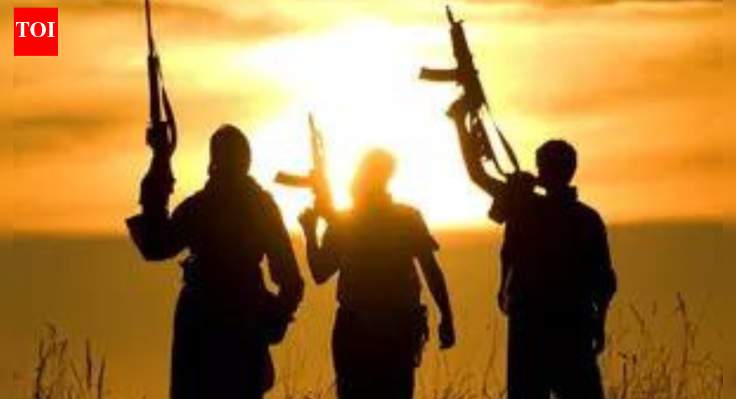 J&K LG sacks 5 govt staff over links with terror outfits | India News