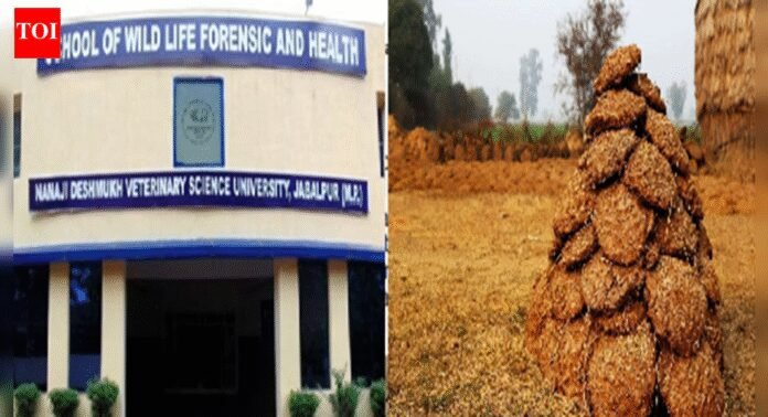 MP gaumutra, gobar cancer cure project: Probe finds Rs 3.5 crore scam; Rs 1.75cr was spent on raw material | Bhopal News