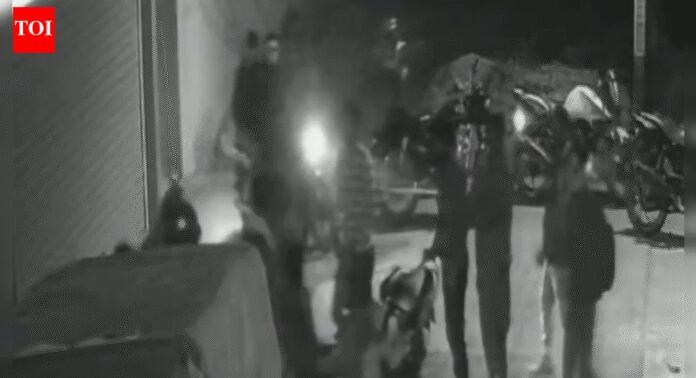 MP shocker: 22-year-old stabbed to death after objecting youths harassing woman; CCTV captures attack | Bhopal News