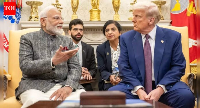 'Modi–Trump share friendly ties': MEA responds to Trump's 'sir please' remark, says both leaders engage with 'mutual respect' | India News