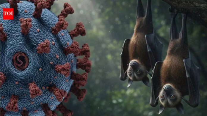 Nipah Virus Alert: Is the UAE at risk following recent cases in India? | World News