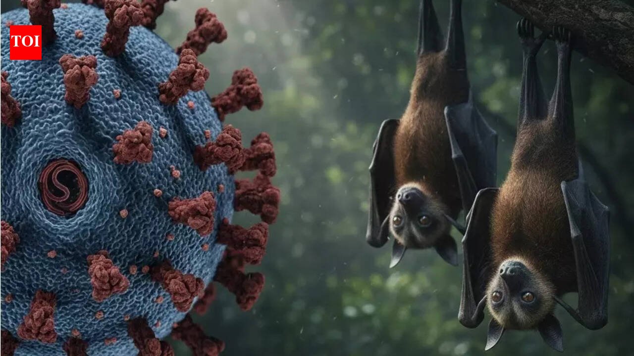 Nipah Virus Alert: Is the UAE at risk following recent cases in India? | World News