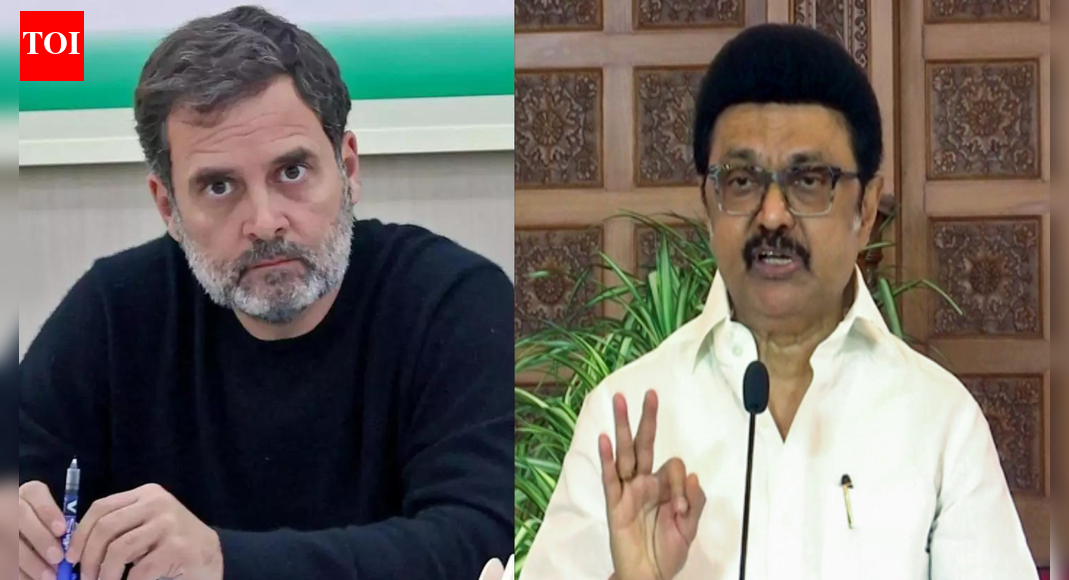 No Rahul-Stalin in Tamil Nadu? DMK rejects Congress‘s 'sharing power’ proposal; CM firm on stand | India News