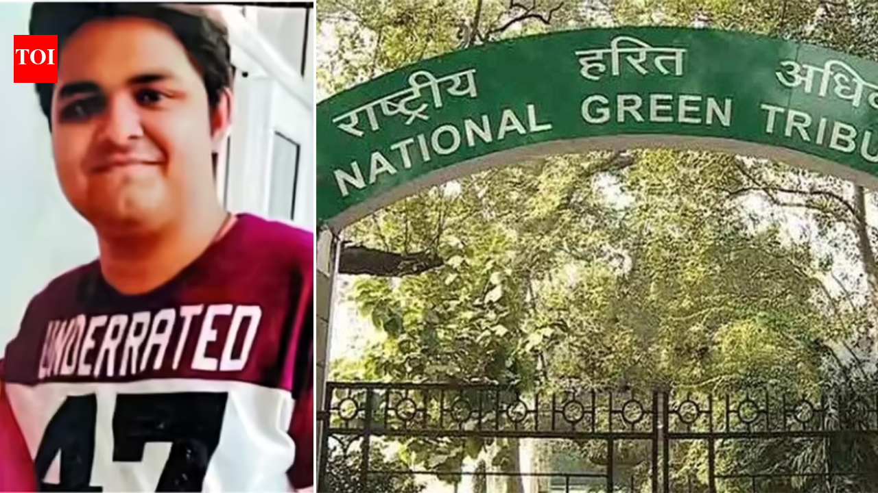 Noida techie death: NGT takes suo motu cognisance after fatal drowning; flags environmental violation | India News