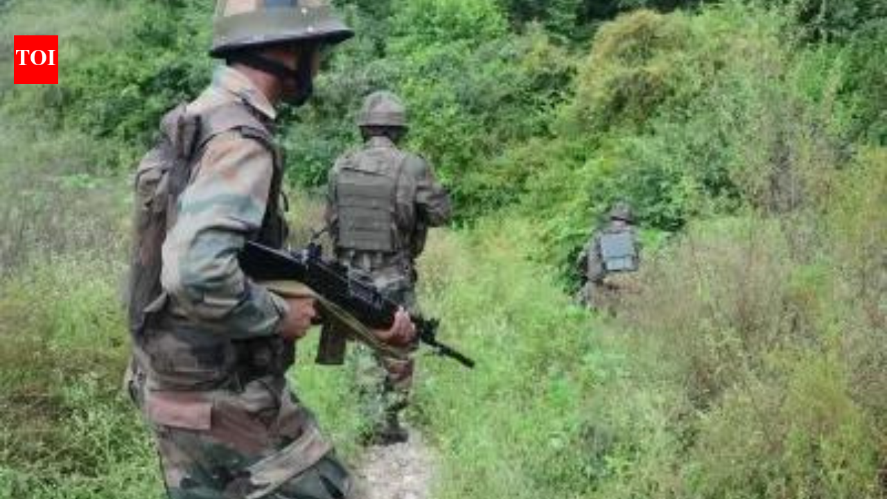 Operation Trashi-I Day 14: Security forces 're-establish' contact with terrorists in J&K's Dolgam | India News