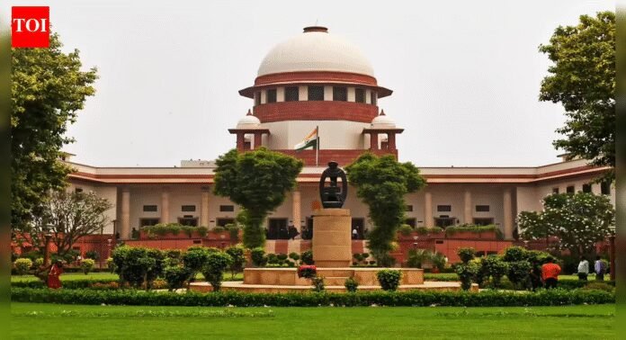 Preventive detention can't be to prolong custody: Supreme Court | India News