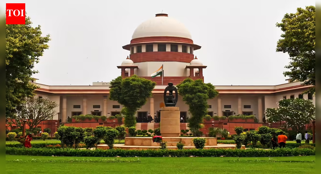 Preventive detention can't be to prolong custody: Supreme Court | India News