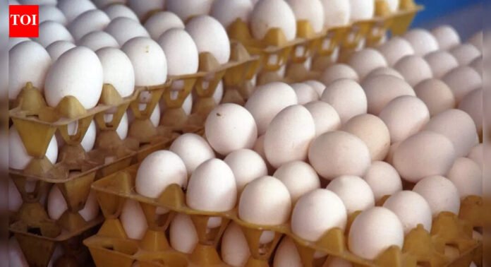 Real egg vs Fake egg: How to identify plastic eggs without breaking them |