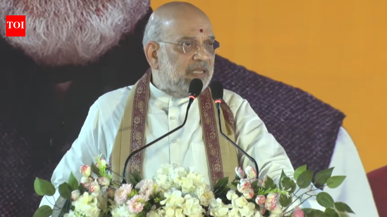 'Result of corruption': Amit Shah blames Mamata govt for 'Wow! Momo' blaze that killed 27 | India News