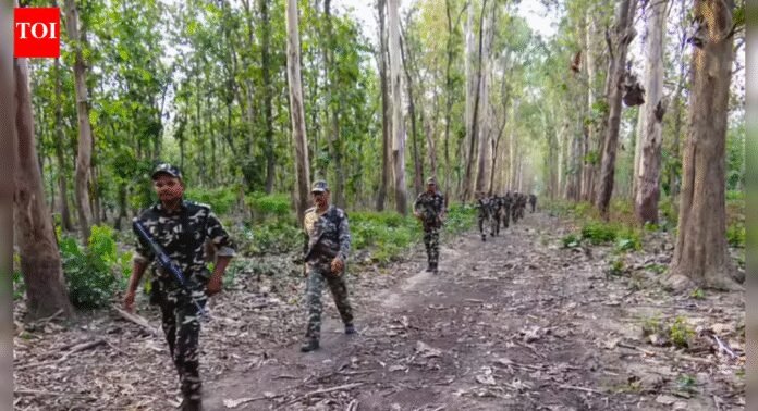 Rising illegal immigration poses serious social risks in India: Experts | Mumbai News