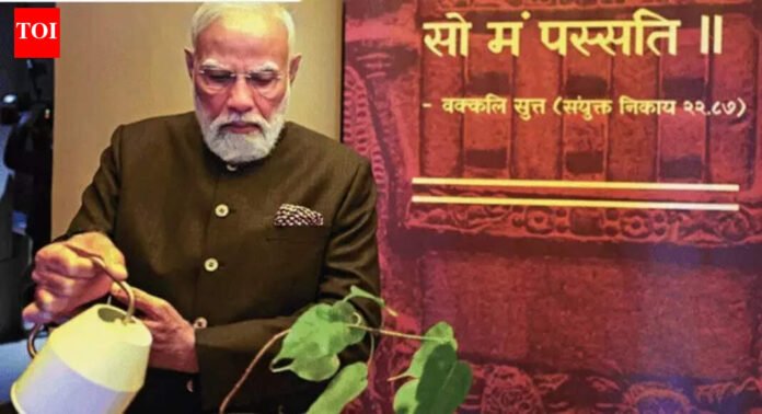 Sacred Buddha relics inseparable part of our civilisation: PM Modi | India News