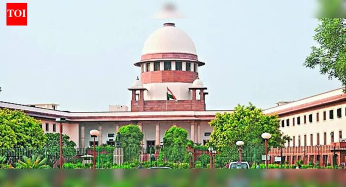 Speedy trial must, says SC, gives Red blast accused bail | India News
