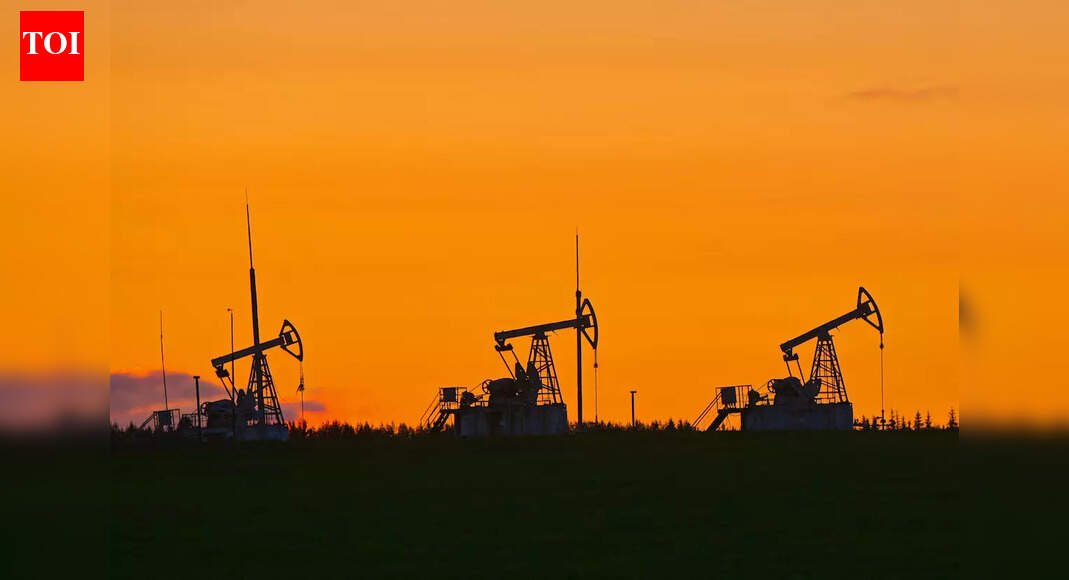 Stock fall not linked to reports of Russian oil imports: RIL