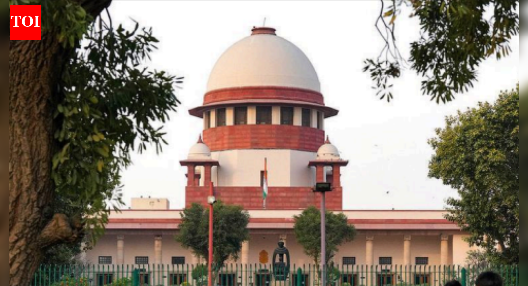 Supreme Court to examine immunity for CEC & ECs after PIL flags 'law unto itself' risk | India News