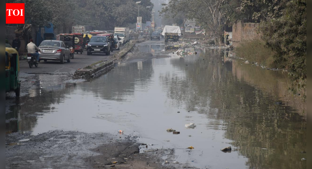 Swimming to Shaheen Bagh: Key Okhla road turns into open sewer | Delhi News