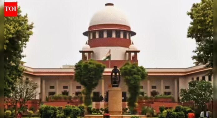 Sympathy for accused cannot override the law, rules SC | India News