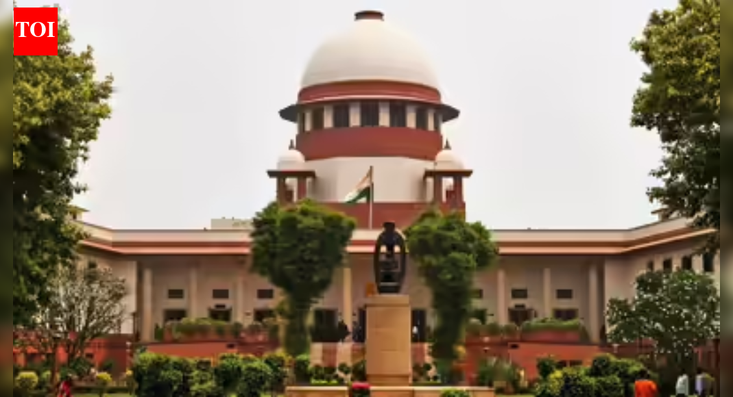 Sympathy for accused cannot override the law, rules SC | India News