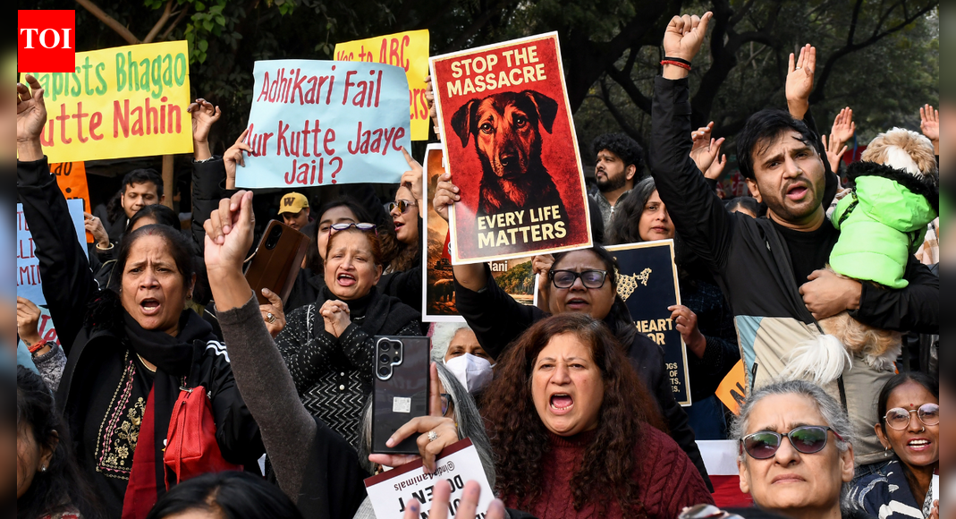 'Take them to your house': Supreme Court questions those feeding stray dogs; compensation warning for states | India News