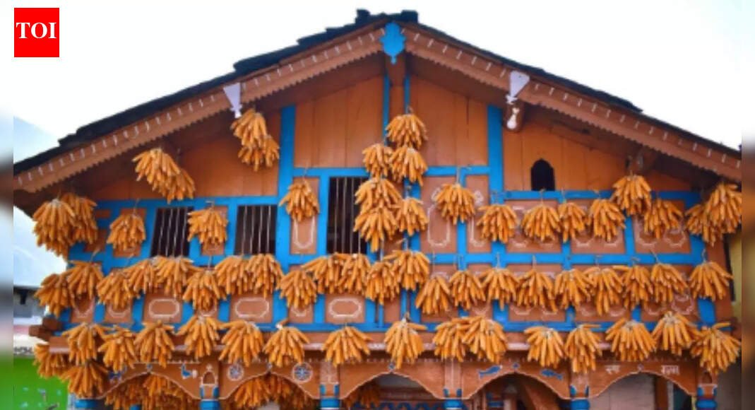 This village near Mussoorie hangs corn outside their homes for generations, and the reason goes far deeper than tradition |