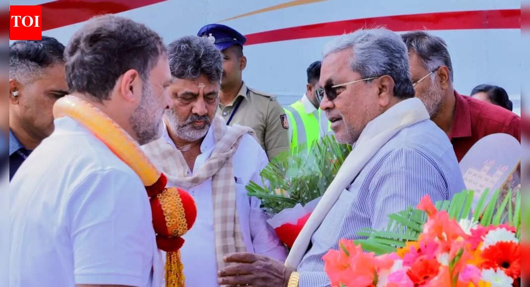 Troubleshooter Rahul? Siddaramaiah, Shivakumar meet Cong leader; Karnataka power struggle continues | India News