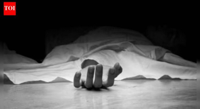 VDG’s gun goes off accidentally, teen son dies | India News