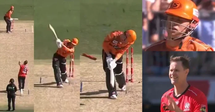 WATCH: Jason Behrendorff cleans up Cooper Connolly with a peach in BBL