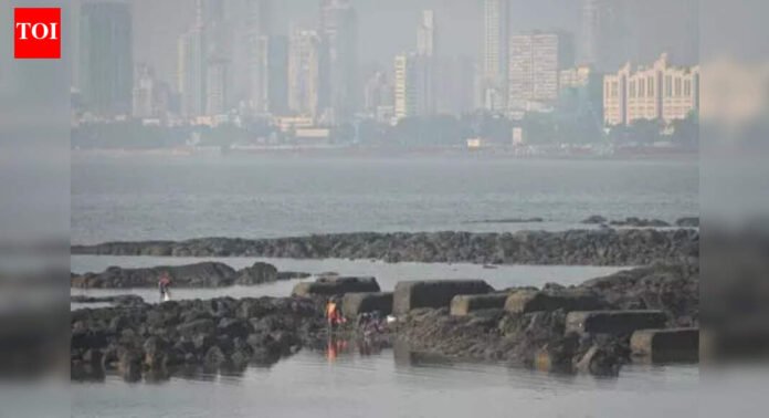 Water supply disruption in Navi Mumbai after Morbe Dam pipeline leak | Mumbai News