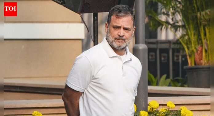 ‘Reality check’: BJP cites Karnataka govt survey to slam Rahul Gandhi; ridicules ‘vote chori’ charge | India News